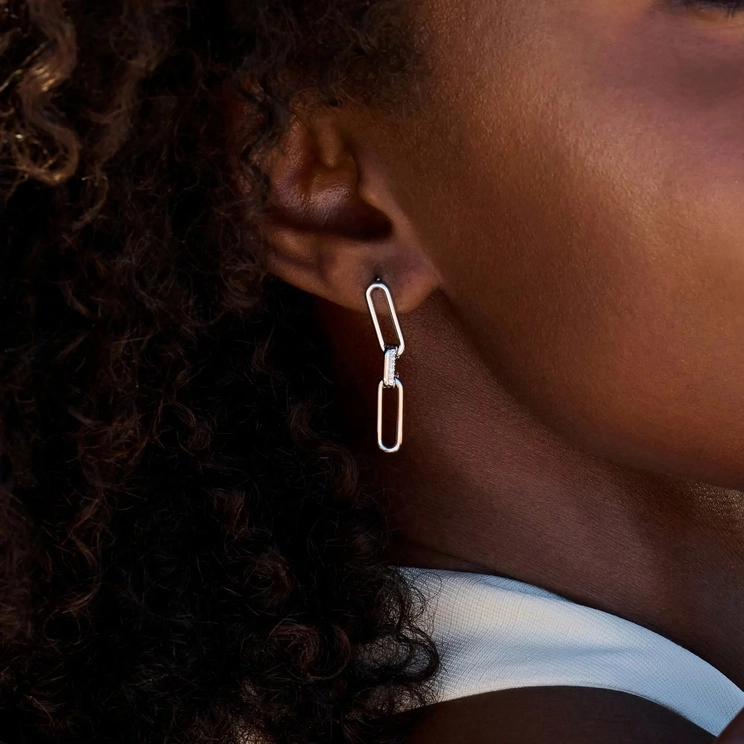 Birkin Earrings